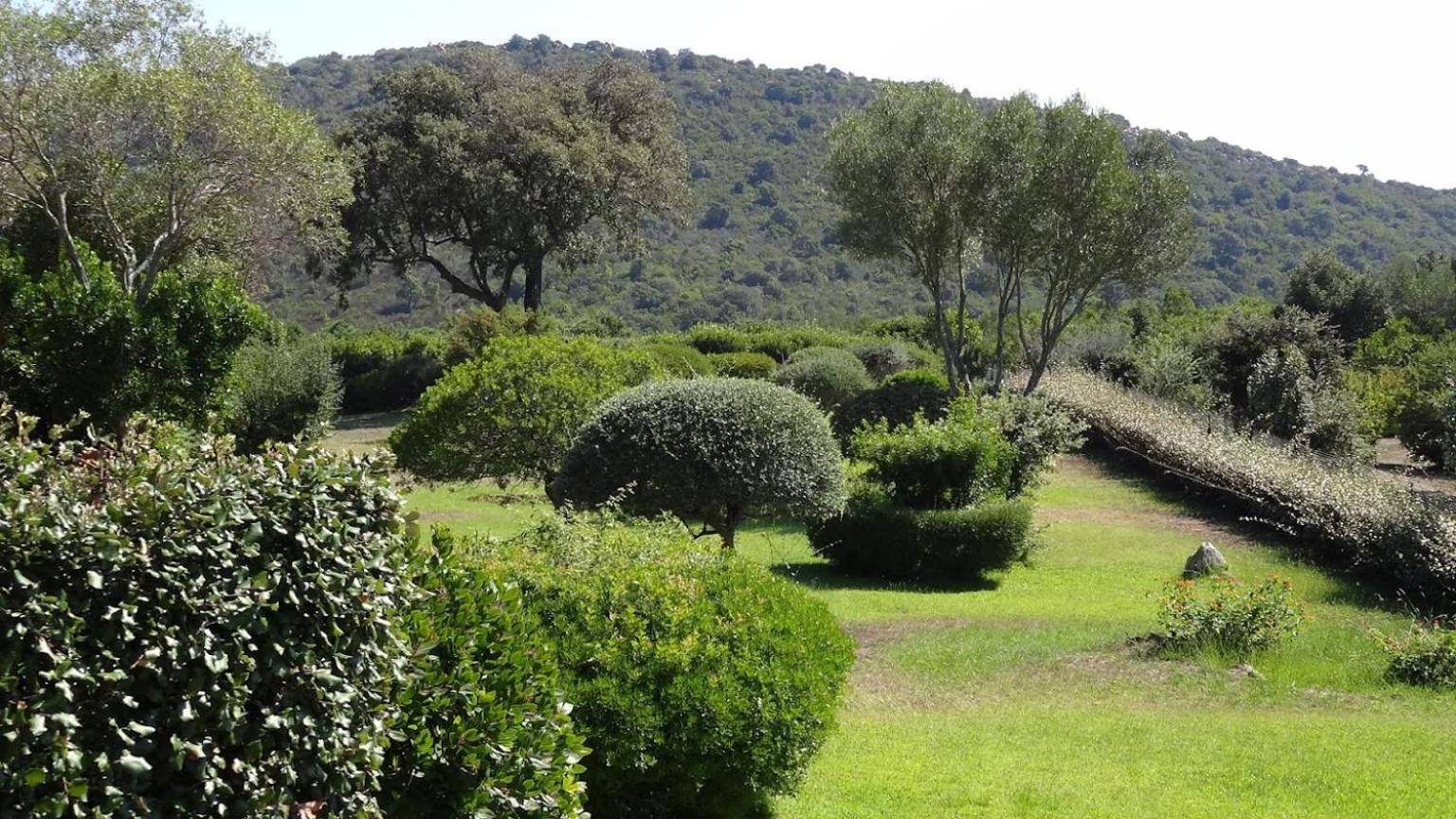 Les Hauts De Santa Giulia Porto-Vecchio  Eksteriør bilde